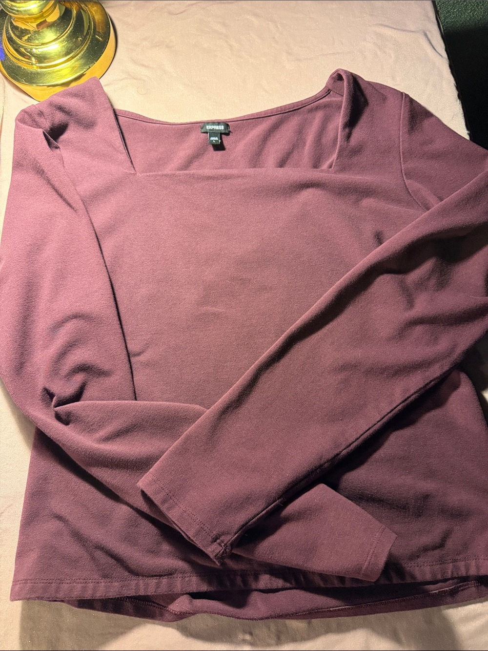 Express Long Sleeve Square Neck Top - Plum